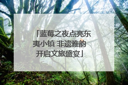 蓝莓之夜点亮东夷小镇 非遗雅韵开启文旅盛宴